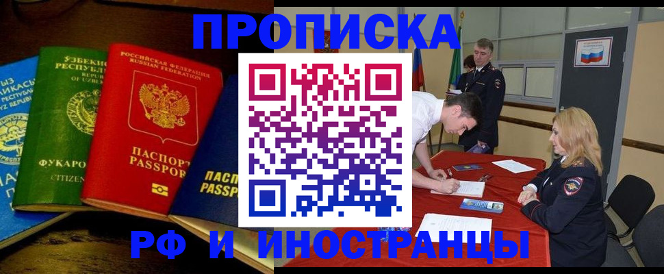 прописка 2025 в Елизово